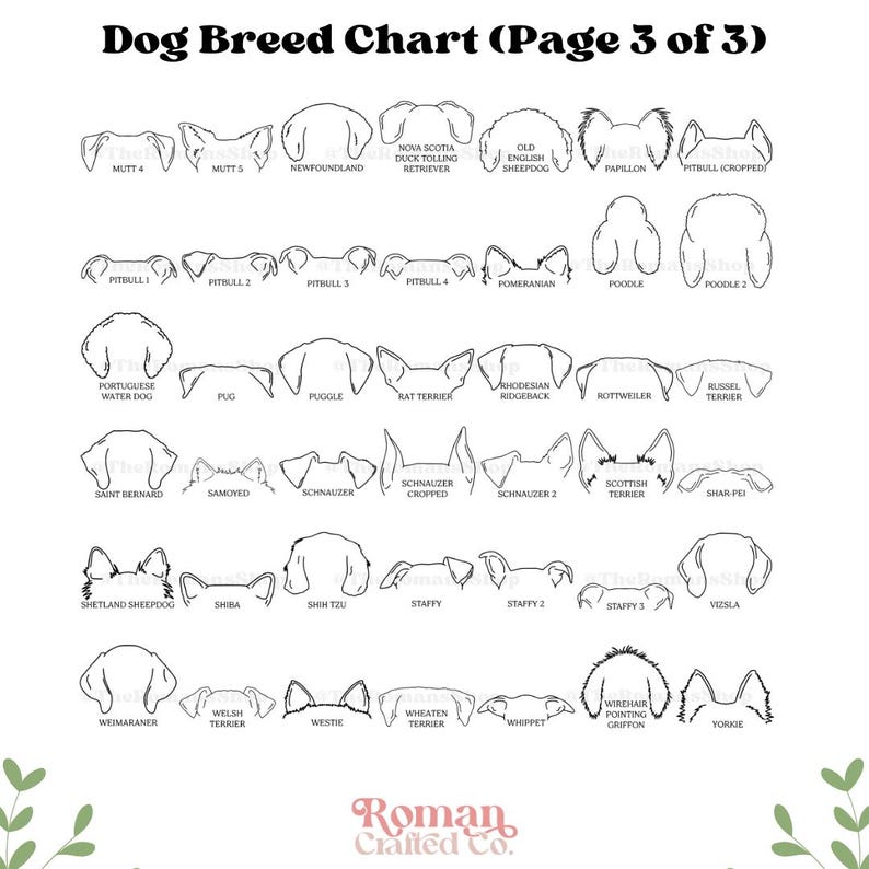 Custom Pet Collar Memorial Frame, Pet Sympathy Gift, Pet Loss Memorial Sign, Dog Collar Keepsake, Memorial Pet Collar Sign Display, Pet Gift - Image 7