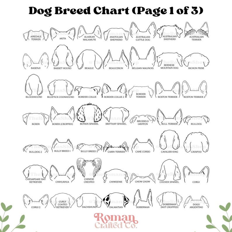 Custom Pet Collar Memorial Frame, Pet Sympathy Gift, Pet Loss Memorial Sign, Dog Collar Keepsake, Memorial Pet Collar Sign Display, Pet Gift - Image 8