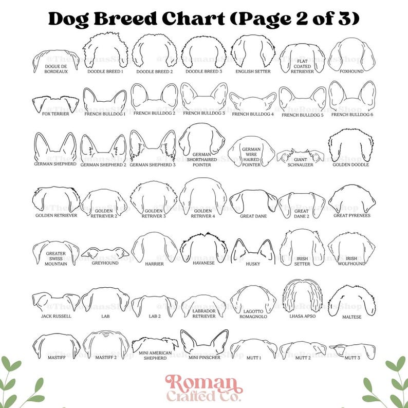 Custom Pet Collar Memorial Frame, Pet Sympathy Gift, Pet Loss Memorial Sign, Dog Collar Keepsake, Memorial Pet Collar Sign Display, Pet Gift - Image 9